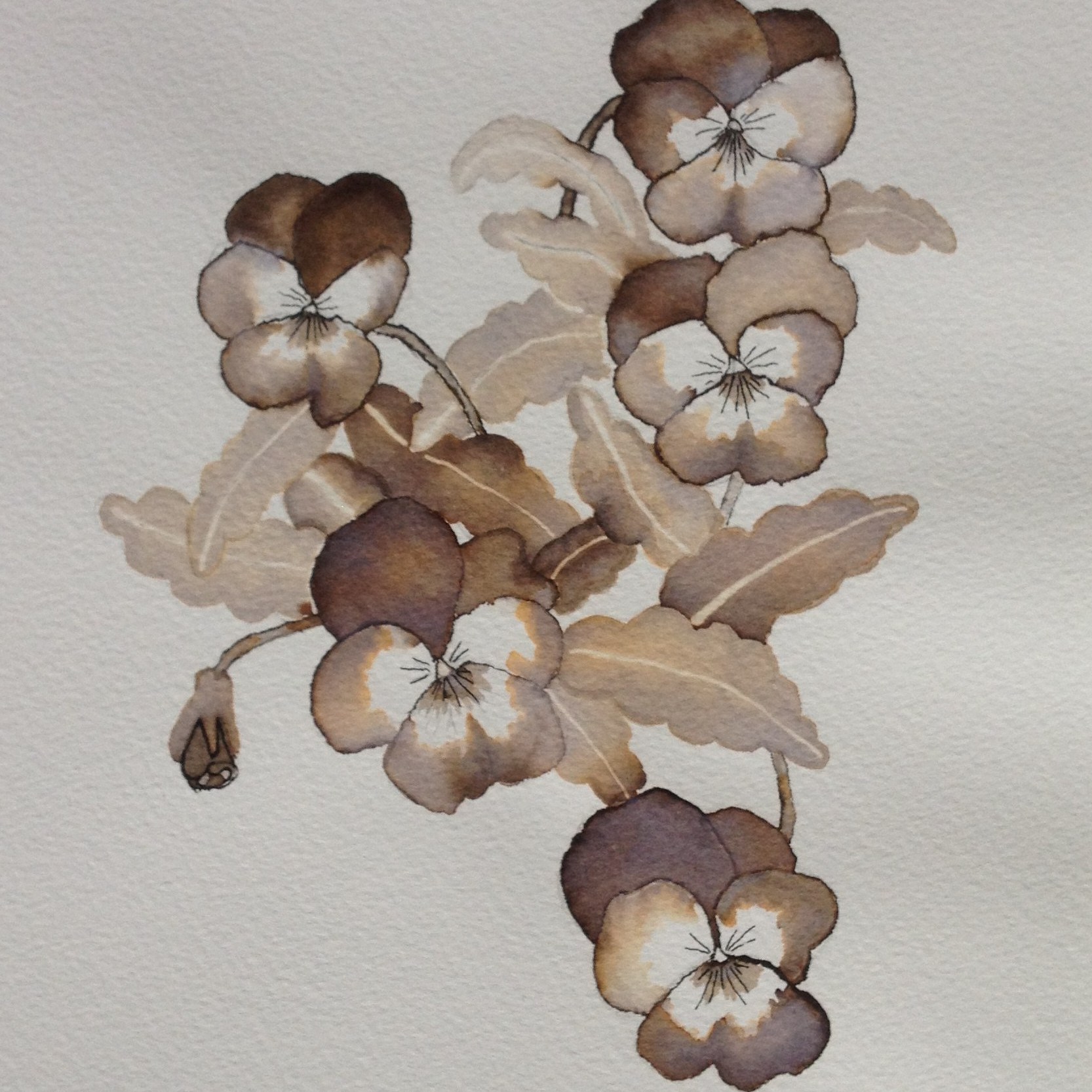 Commission Pansy mono