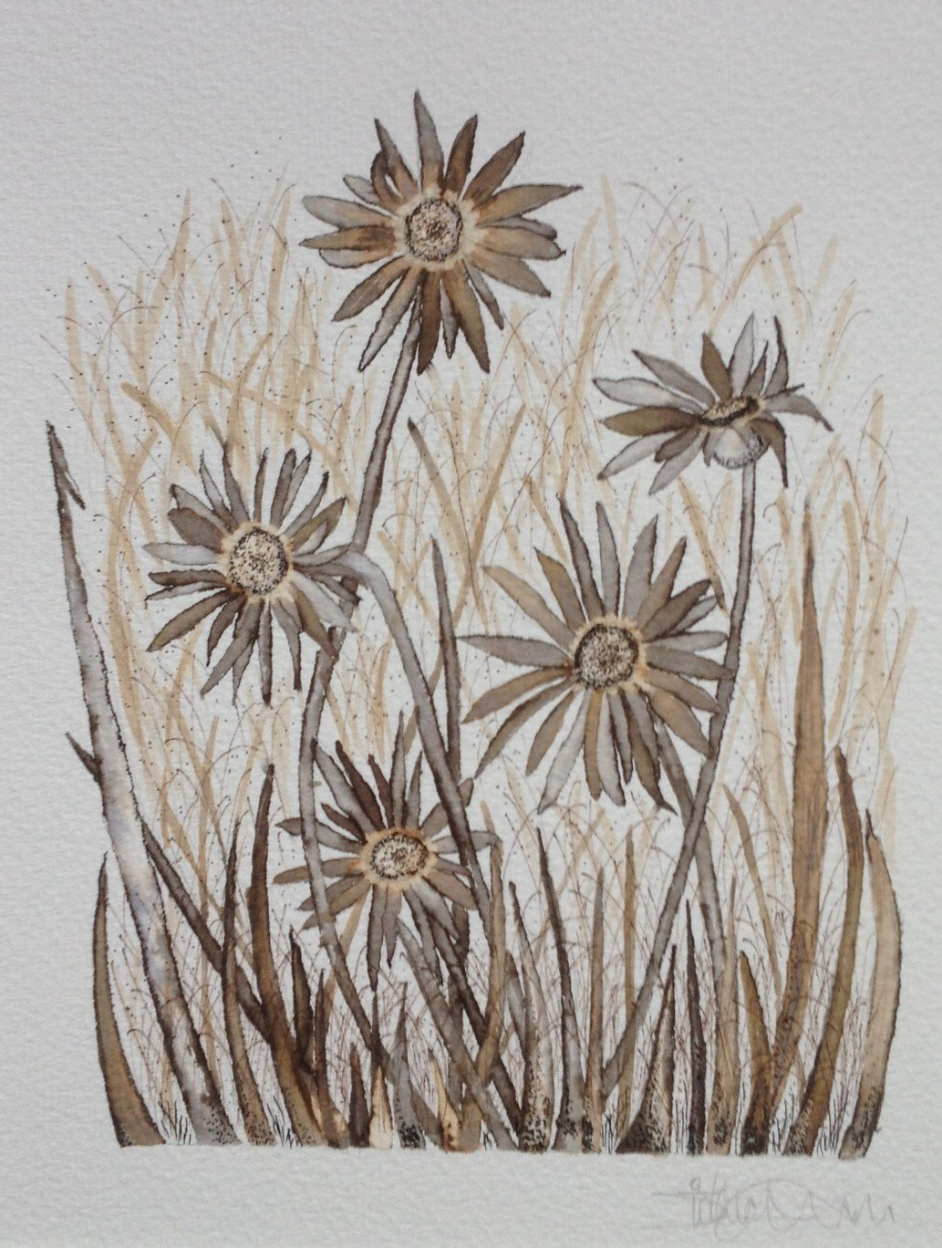 Commission Daisy mono