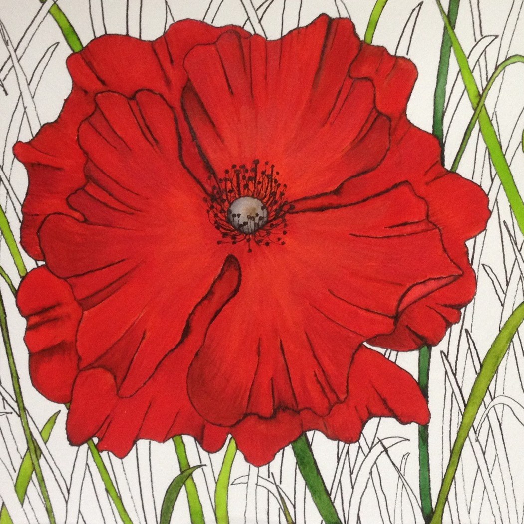 Poppy Burst