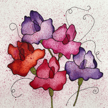 Four Daughters - Sweet Pea