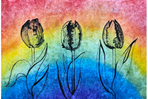 Rainbow Tulips