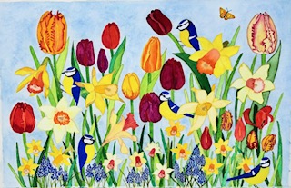 Siobhan's recent work